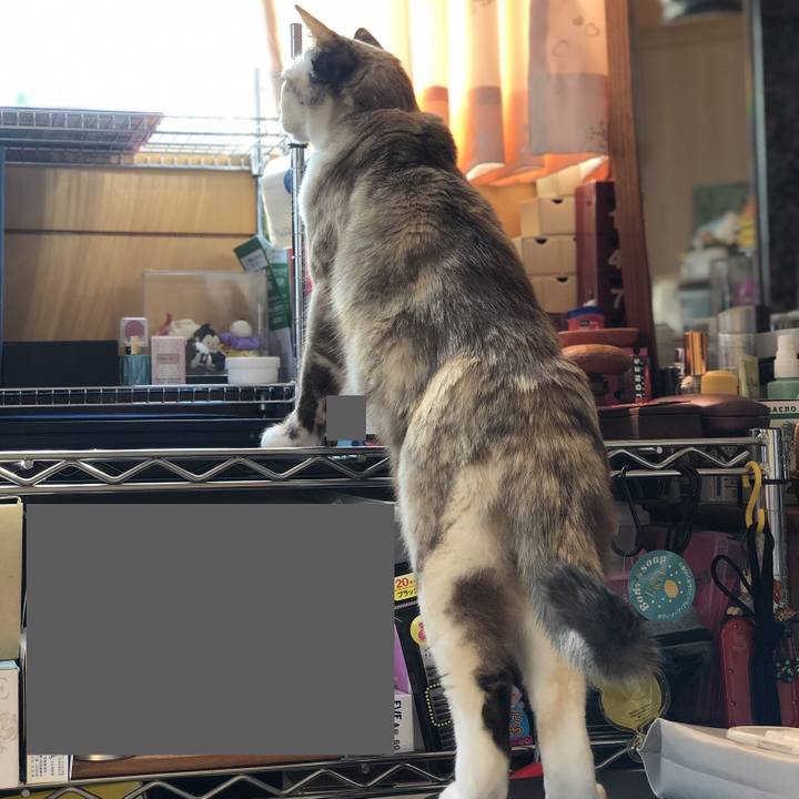 Cf4773a9 40e4 4990 85c5 612463f5aab4 1774375240312