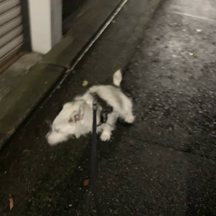 Cf478ba7 5319 4889 ad9c caac15cd71f0 1729255147992