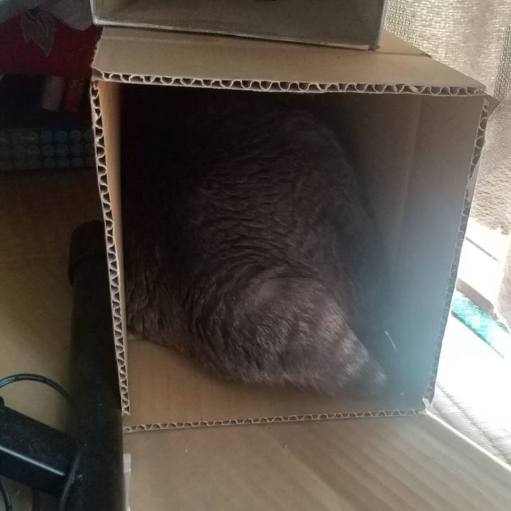 Cf47bf9e c360 4af0 8d19 4e7e63517e8d 1684371439943