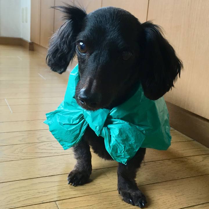 Cf47d462 fe38 42e7 b0c6 8fce78945aaf 1586570108882