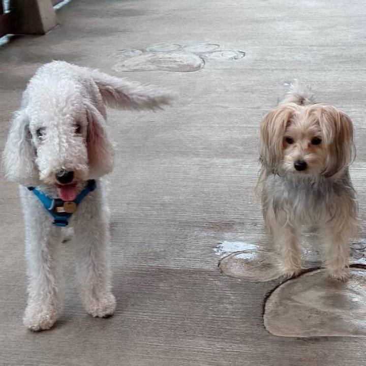 Cf47fc57 a9d8 4b9c 93bf 15686fbd2c14 1633246949952