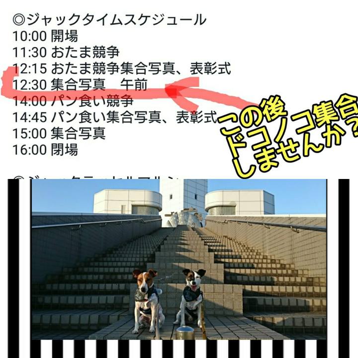 Cf490078 e4a0 4602 8a9d 8fbd1c7e41ee 1552114246788