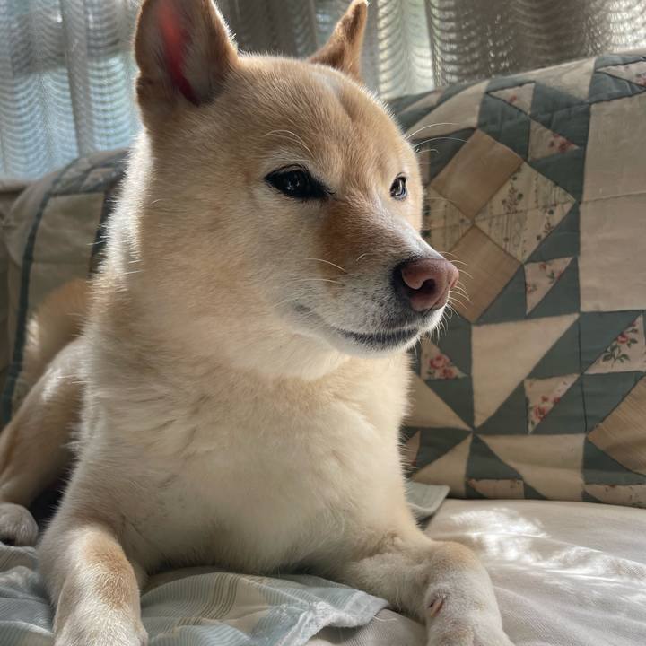 Cf490a99 dcbc 4990 b22f 490267e8d252 1747091640786