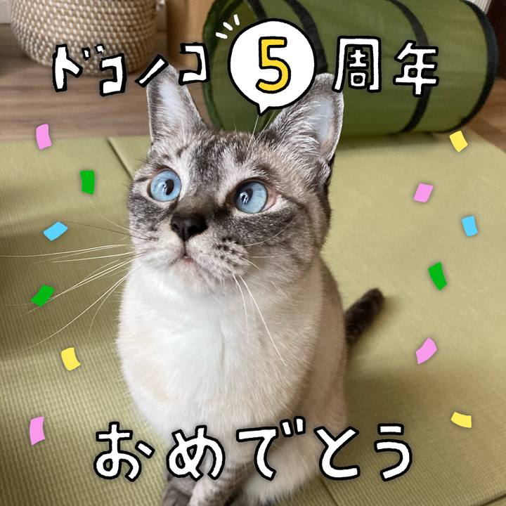 Cf493b0b 3c2c 41ae bf9b 538b4c1e3787 1622854122799