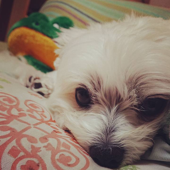 Cf4957ad 5cdb 4e45 a4be ab0465c67c47 1560170621096