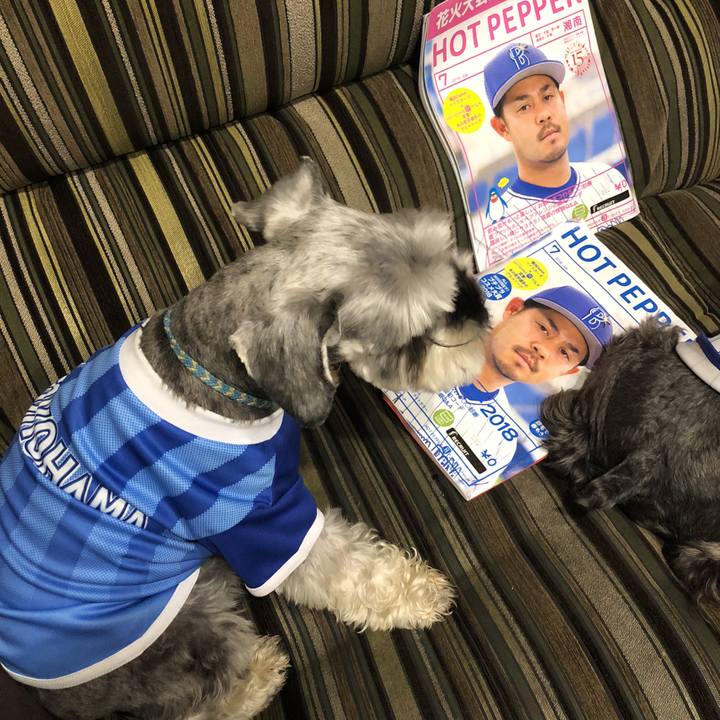 Cf496551 f34b 407a 9c4f c2ae606d7607 1530712813898