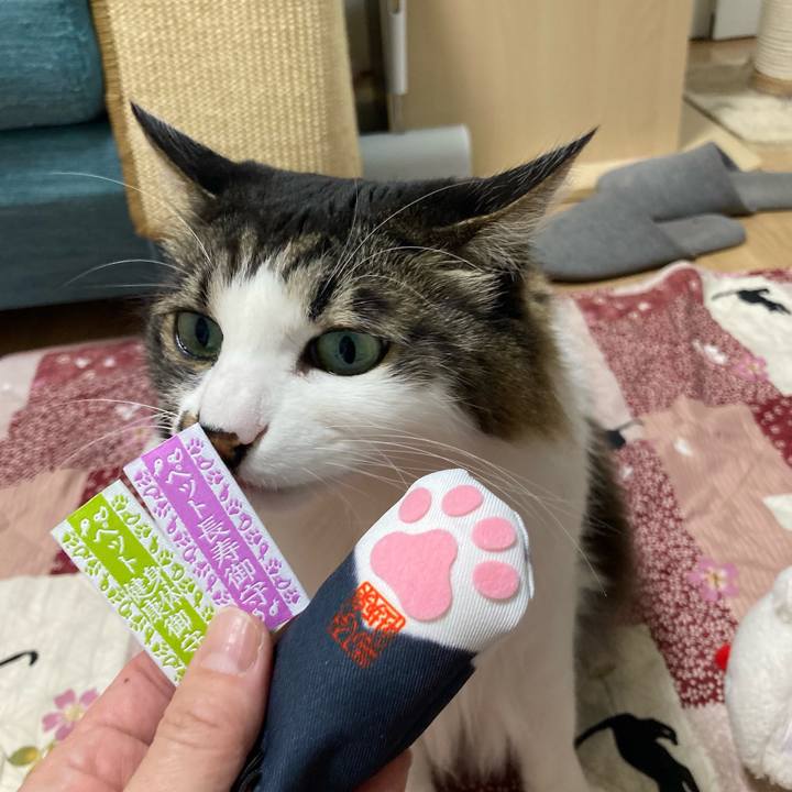 Cf498630 543d 4fb4 a4a8 3c22aba76b02 1771920232956