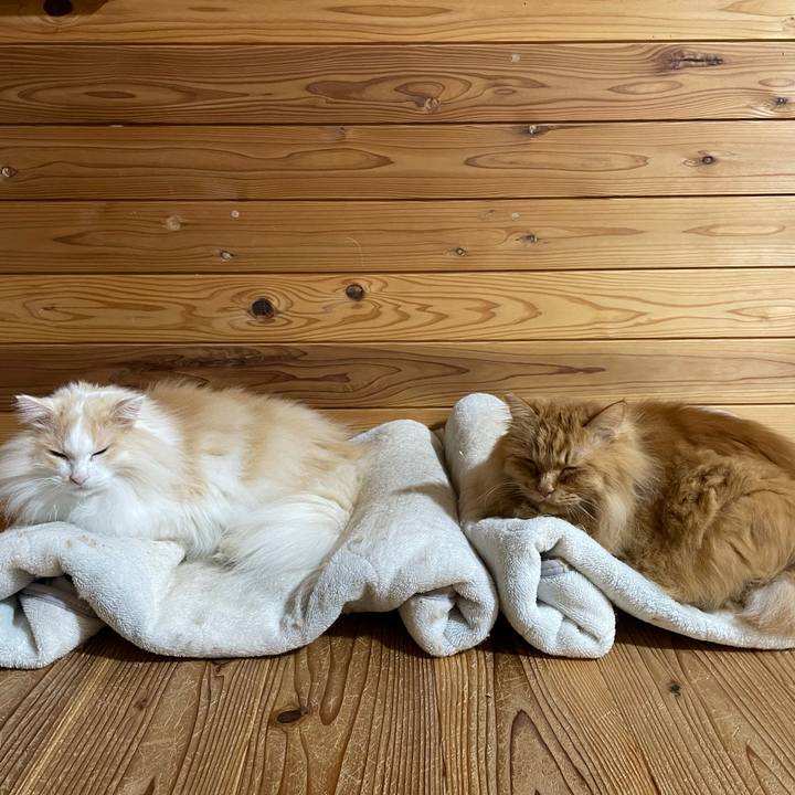 Cf498735 ca2d 470a b739 bc287905f760 1709238365711