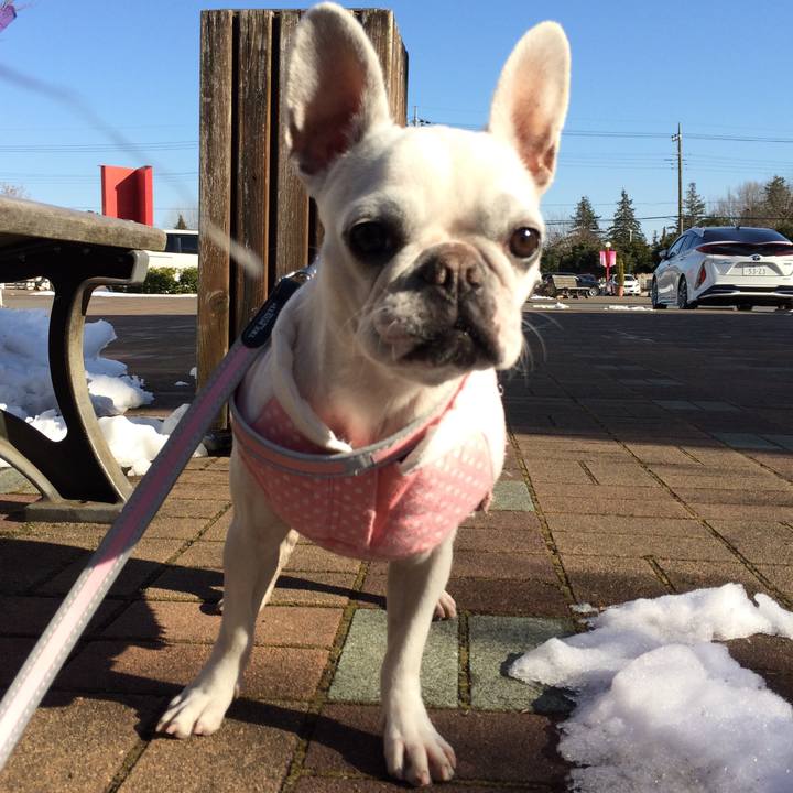 Cf49c5df 0159 43d7 bc3c 68281ed49f92 1517038422099