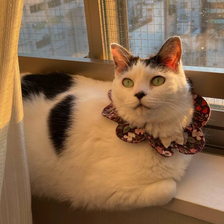 Cf49ecc3 c69b 4fdb 9170 f12550e2f9a8 1680316278050