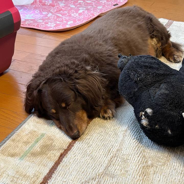 Cf4a1170 08a9 4fe4 af7f ea33250972d5 1734056560024