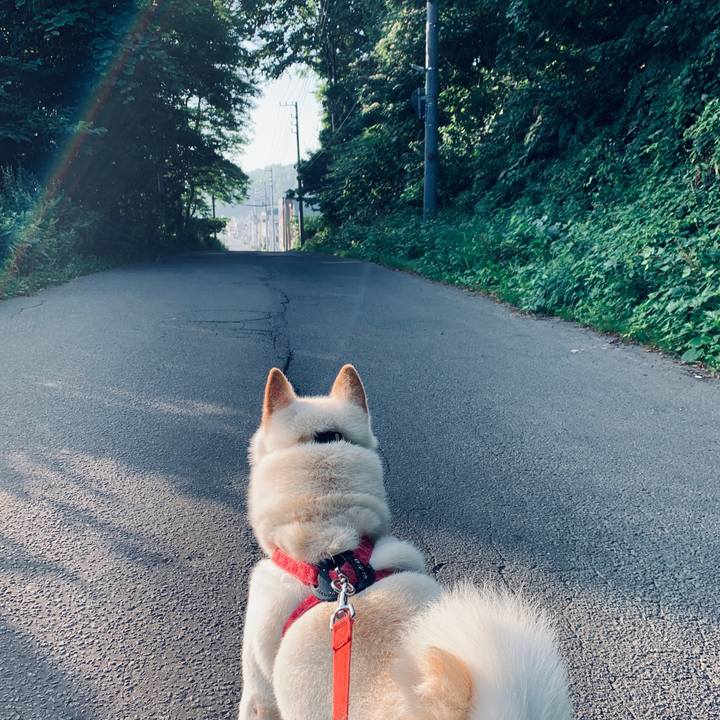 Cf4a18aa 81eb 4a60 8212 512812baec50 1564868867227