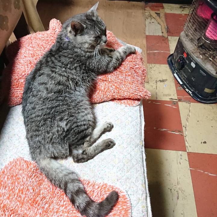 Cf4a1dca 636d 4be0 b176 0a5a8cd662af 1583141645301