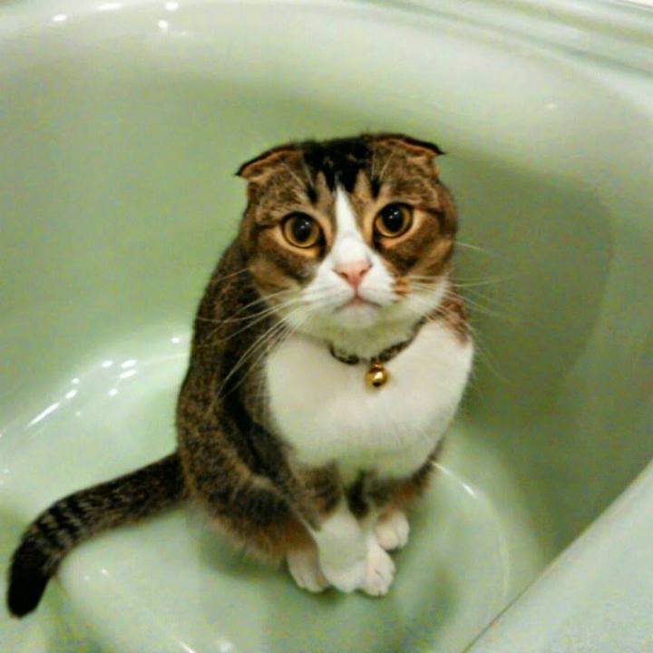 Cf4a3a7f 7dfd 41a9 90bf 516b17794238 1517832601055