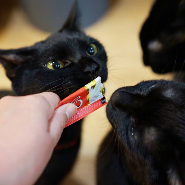 Cf4a3c41 c821 4041 a2a9 e565eeec2783 1550135281249