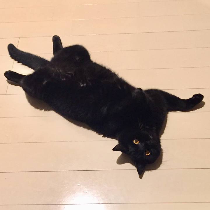 Cf4a467b 4289 4c58 922c f80863c8c4c7 1567070500062