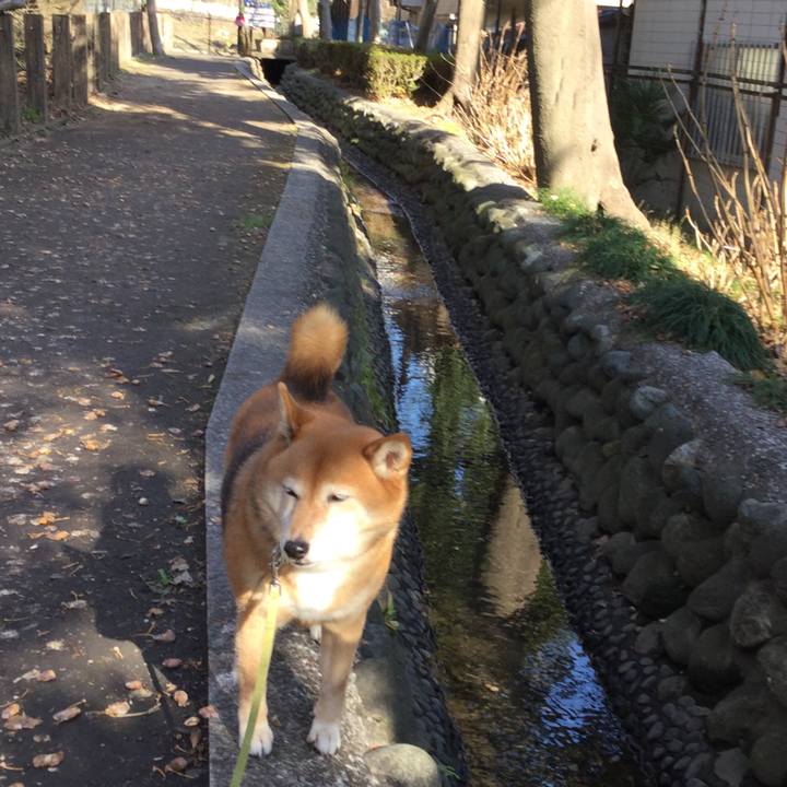 Cf4a78d3 1a38 4003 8b36 e90b9e83ae82 1578736162115