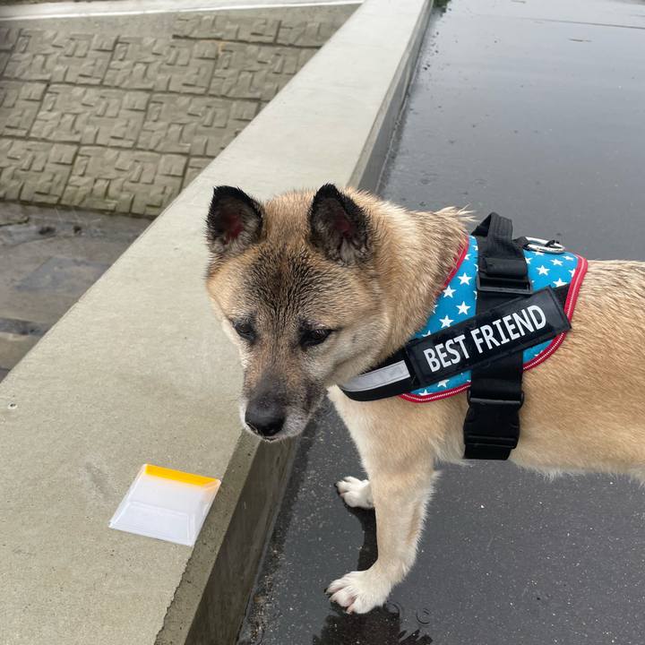 Cf4a7eb0 9e0a 4ed3 b56a 58e9ae4a35e0 1710677915878