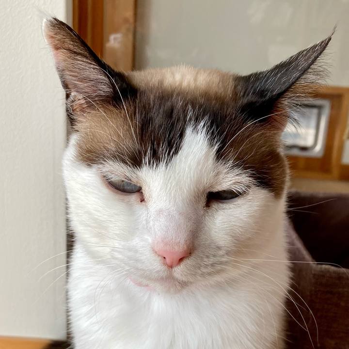 Cf4ad43a afcf 48d2 b48e 97e7af4ac801 1646461633762