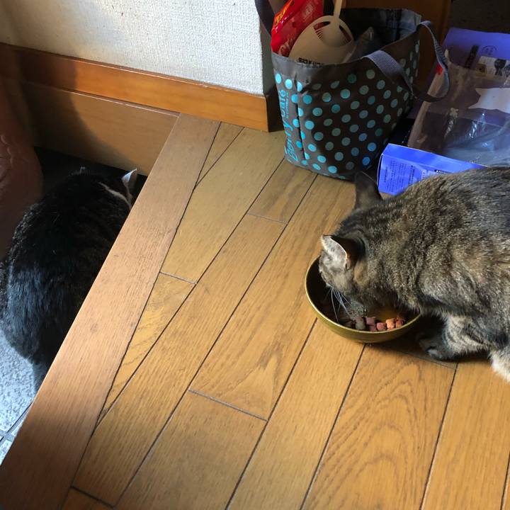 Cf4ae2ee 7a73 4e11 85fa d6a6c80da586 1570931970632