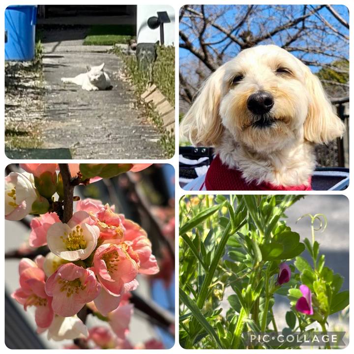 Cf4b4eeb 53a6 43f7 bf65 4a12434d8c3a 1774084974477