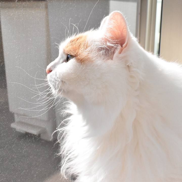 Cf4b8f8a 6cd3 4db8 b8e9 a72999e4c2ac 1763946924412