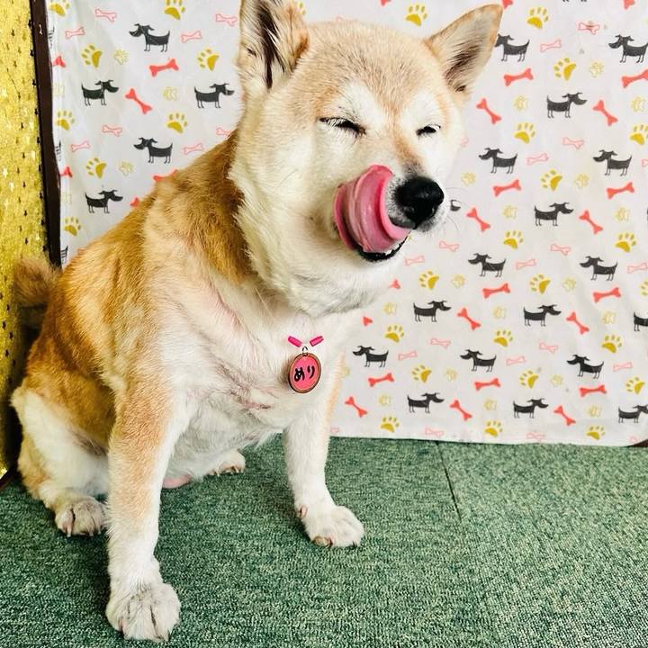 Cf4baa1c 490d 4a7a a84f 091c2a08a774 1758606116270