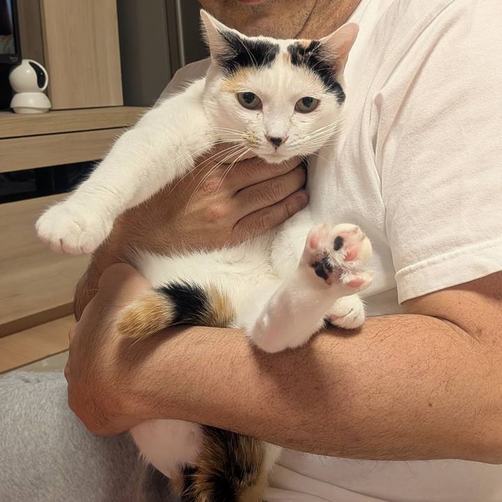 Cf4bb4d3 7820 4dd6 b93e ac6b2b689fb6 1768614155045