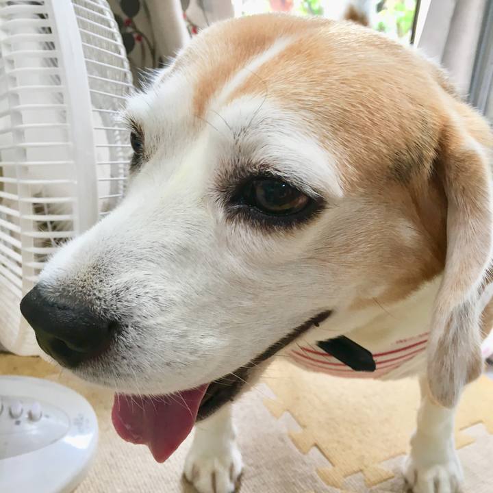 Cf4c4f29 7342 4cc2 afe9 5bcfee003779 1536550068764