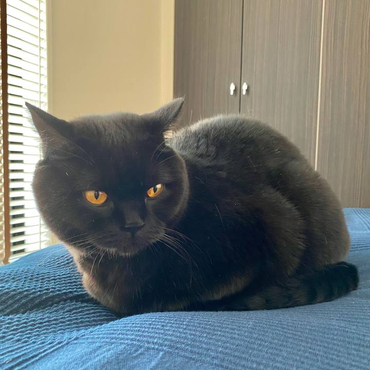 Cf4cb22b 9fb8 4950 b58a 0de58551ca2a 1604383300923