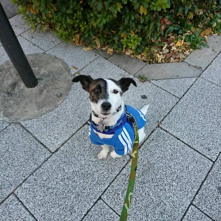 Cf4cfbc9 b0c9 4add a0dc 7c43d53e87bc 1513981657961