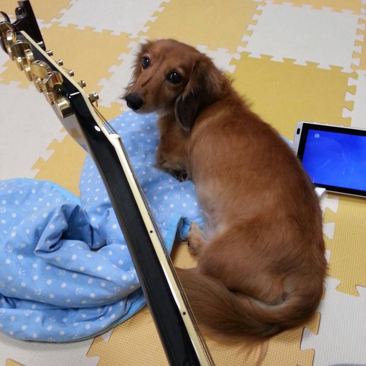 Cf4d091b e4d4 4fbf 91a3 d001b4f54fe5 1536329637001