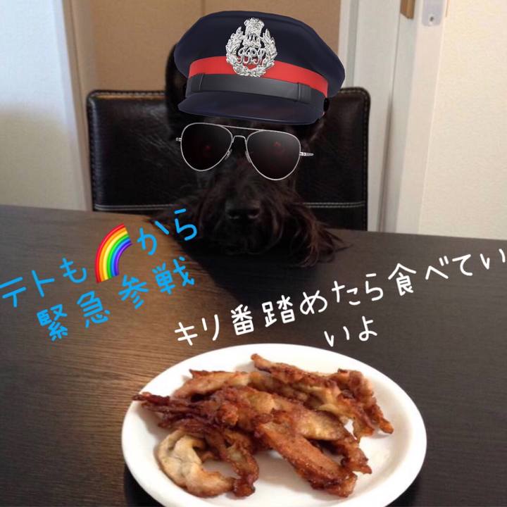 Cf4d1be4 d8f8 4296 9eeb f810d0123b7c 1566651424209