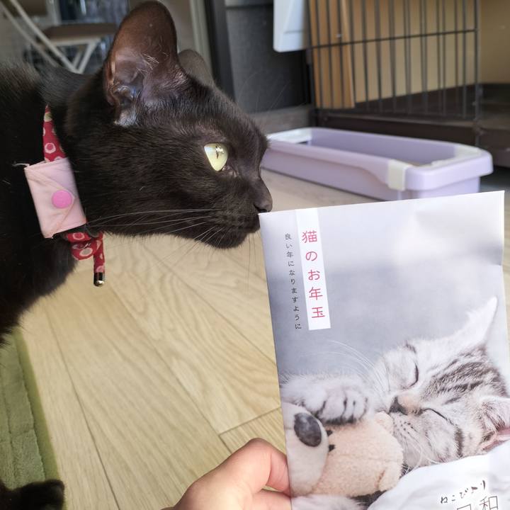 Cf4d99ca 53fd 4e5d 9107 f3b43928dbce 1640995289394