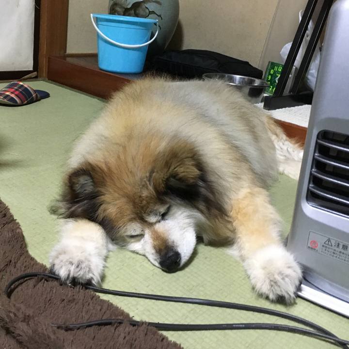 Cf4d9e86 e6bd 4392 b874 fcff45498c5c 1595119829847