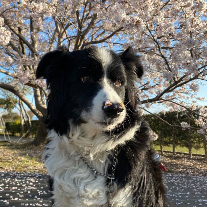 Cf4db975 52c8 4de5 a1bc 62a27ca1deaf 1743431324354