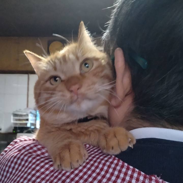 Cf4e2353 cd7c 48b6 9b29 97cfbf5e5a2a 1669707792854