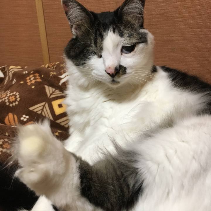 Cf4e48b3 b47b 4c51 a9f2 c0b09895fd2d 1555202107511