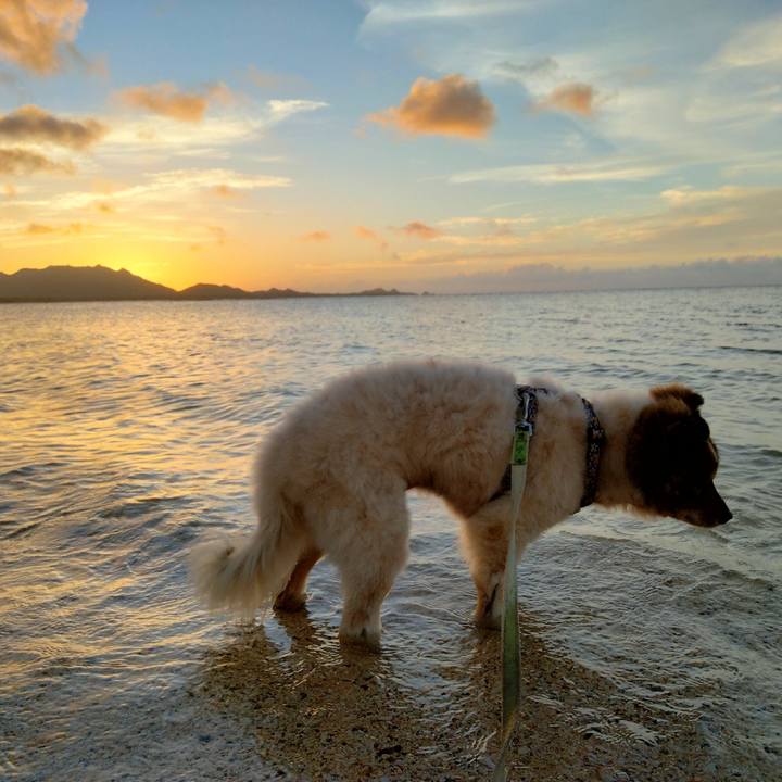 Cf4e7d00 3fd0 4ba3 979b 3c72556b02cf 1631453677477