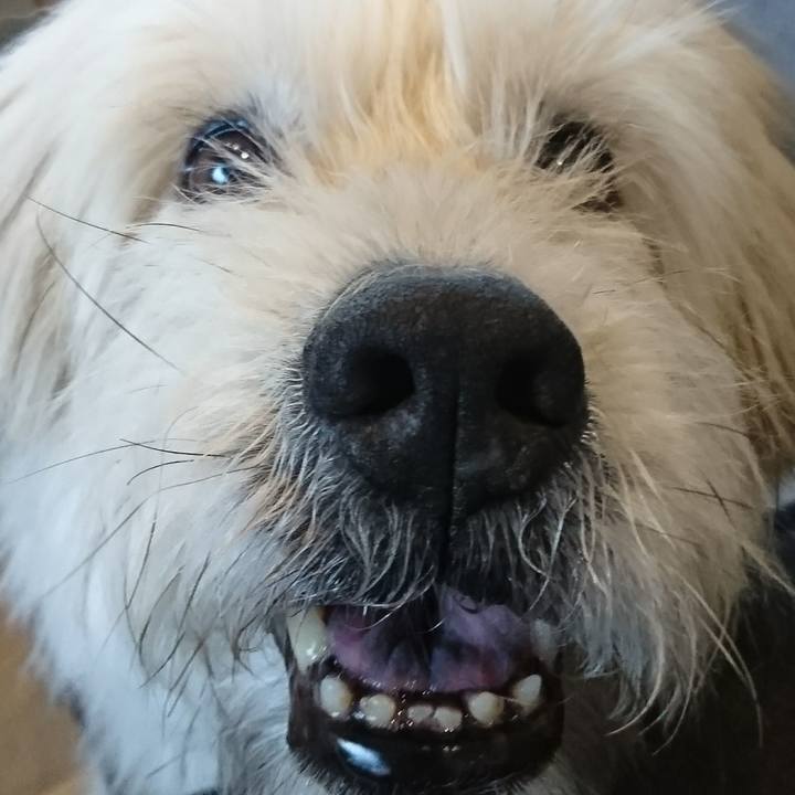 Cf4e82f9 314e 46f8 9930 c5a2623cfcc1 1582528001466