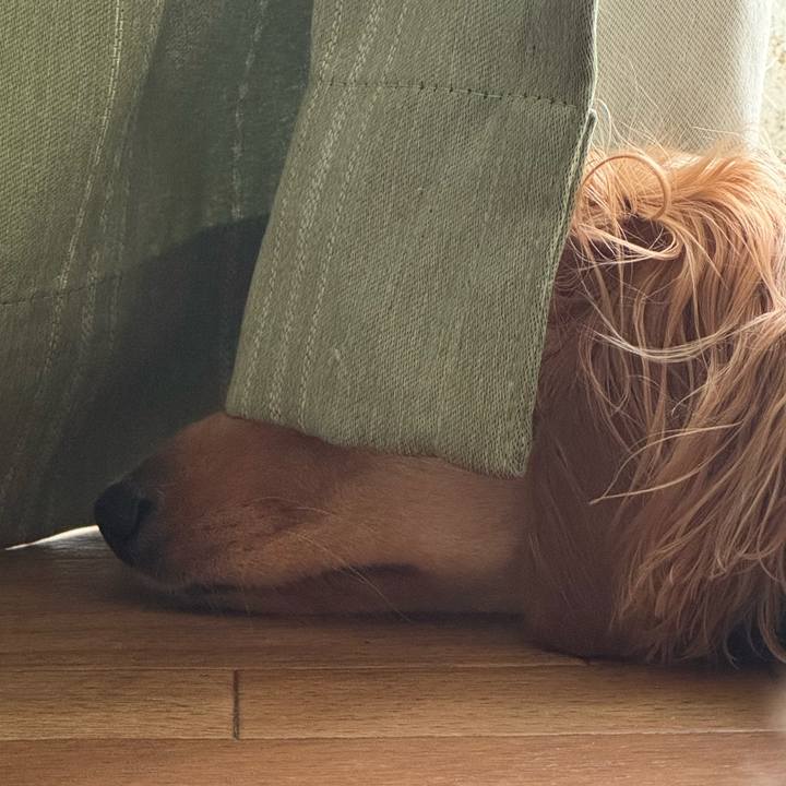 Cf4e8a15 c9f6 4640 a5c2 34bfce2ed4c7 1749136707971