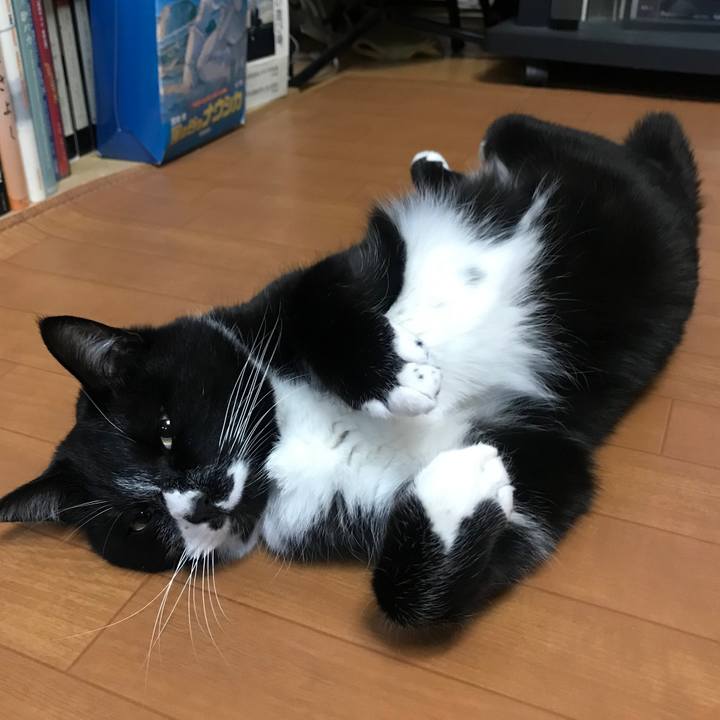 Cf4ed3e8 f175 4c6b 9b0b 5cb9a244cfd0 1612496497368