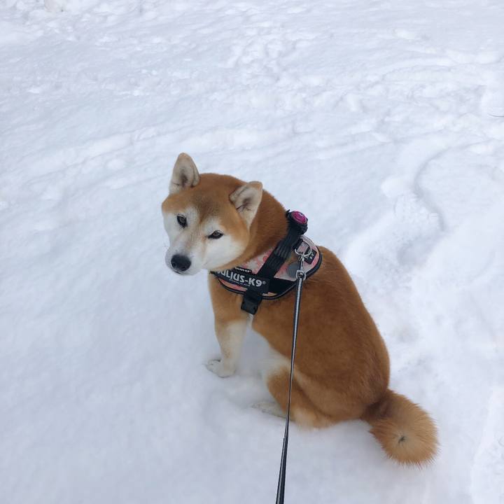 Cf4ef974 af09 49e4 b3a9 c549d6fc3d75 1583203207182