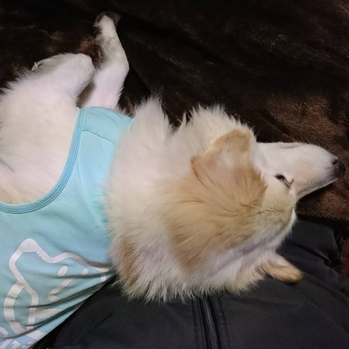 Cf4f0666 10dc 416f aa89 06f6542a277a 1518409742873