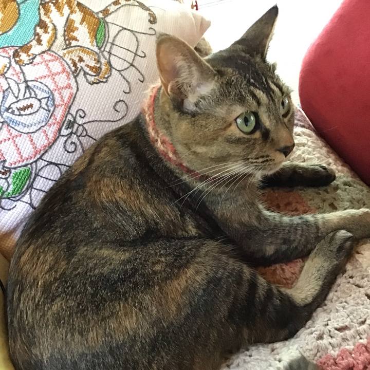 Cf4f06a8 8cd2 4bc0 bf96 f3f2565ea827 1632547346185