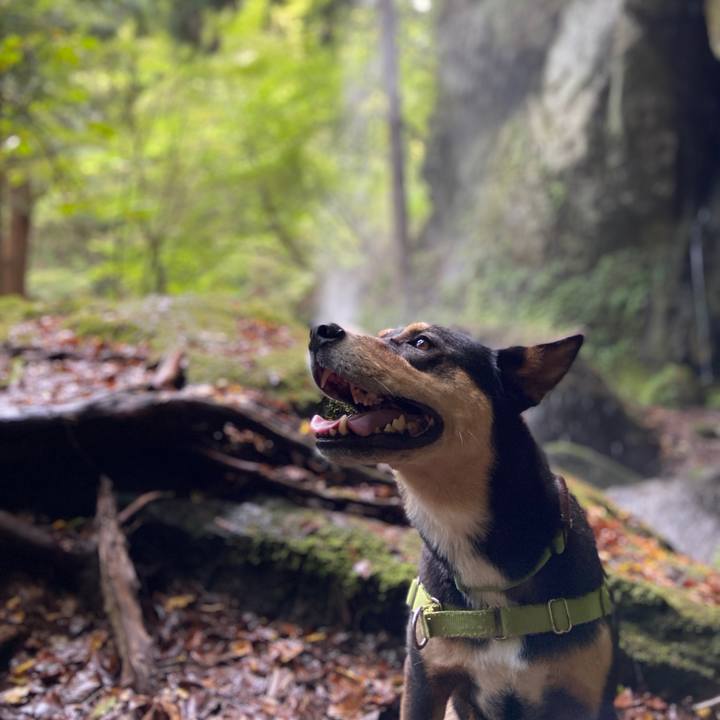 Cf4f24c8 6077 4be9 832d 05a22ca1ad7c 1632129150919