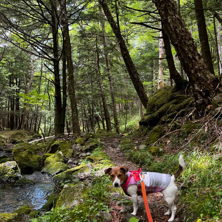 Cf4f8a1f deab 483e 952a 57446abec16b 1753447094741