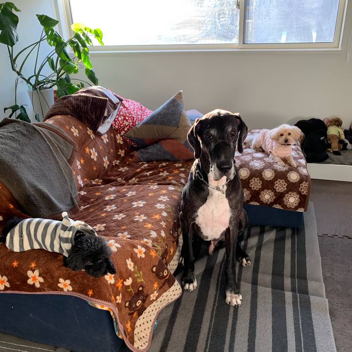 Cf4f944d eabf 47e6 9cfa 600d2e5d09e8 1545950950936