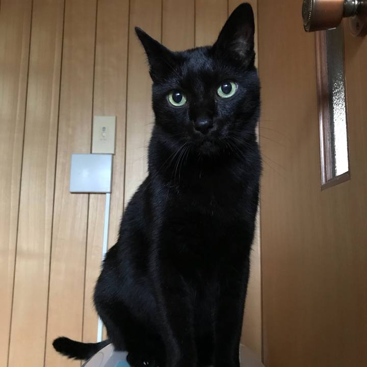 Cf4fa48a 2802 45fa b336 4c53e2dd86ce 1536539958262