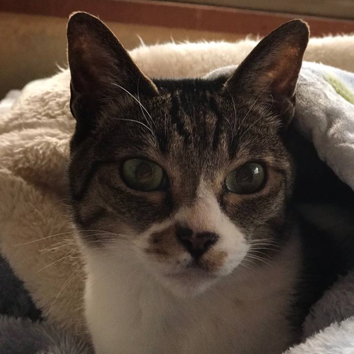 Cf4fa4fc 5256 4320 9cdd 68cb5a23d5e7 1511400290458